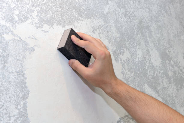 Best Mold Documentation for Insurance Claims  in Durant, OK