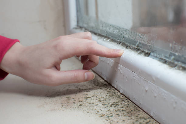 Best Comprehensive Air Testing for Mold Contaminants  in Durant, OK