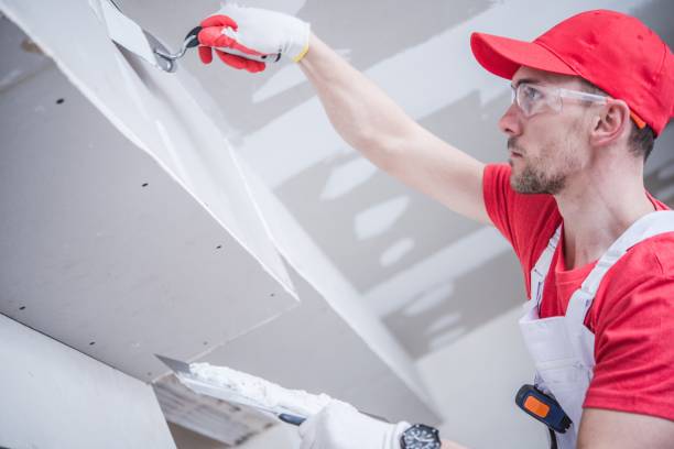 Best Black Mold Removal  in Durant, OK